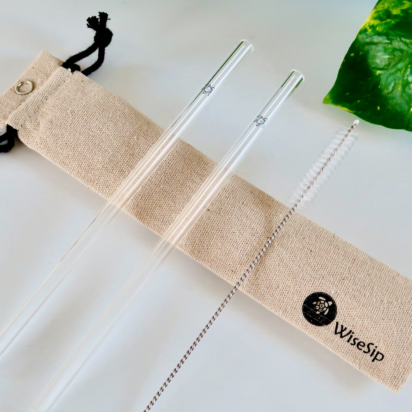 Regular Glass Straw Set