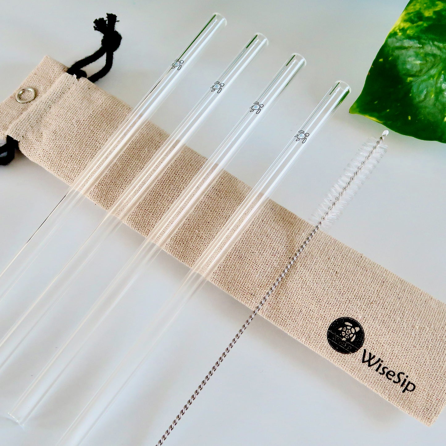 Regular Glass Straw Set