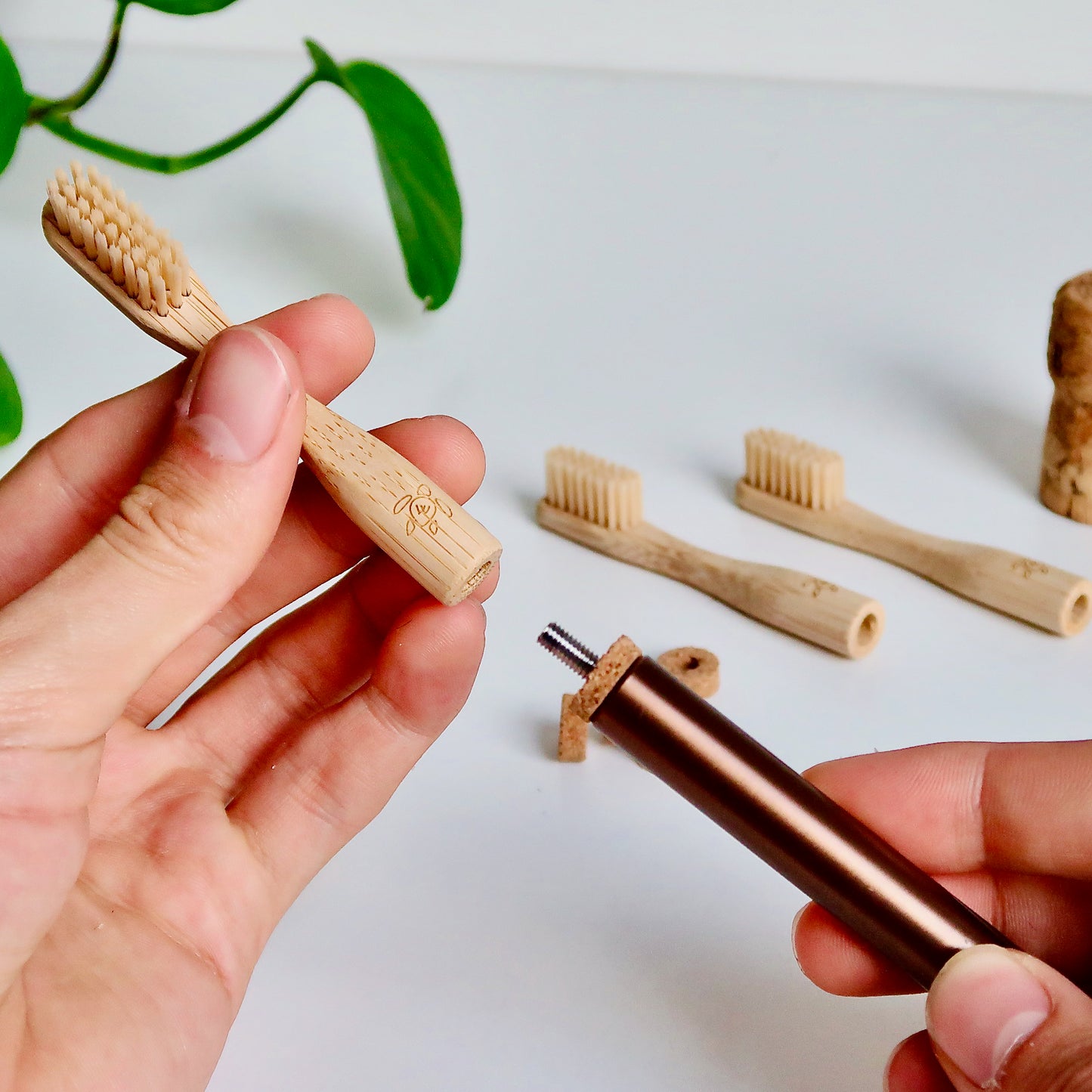3-Pack Refill: Evermore Toothbrush