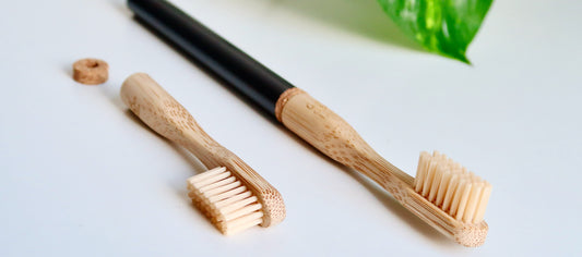 How To Care For A Bamboo Toothbrush Properly: A Comprehensive Guide