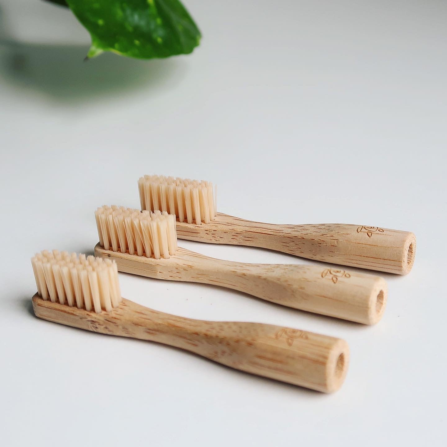 3-Pack Refill: Evermore Toothbrush