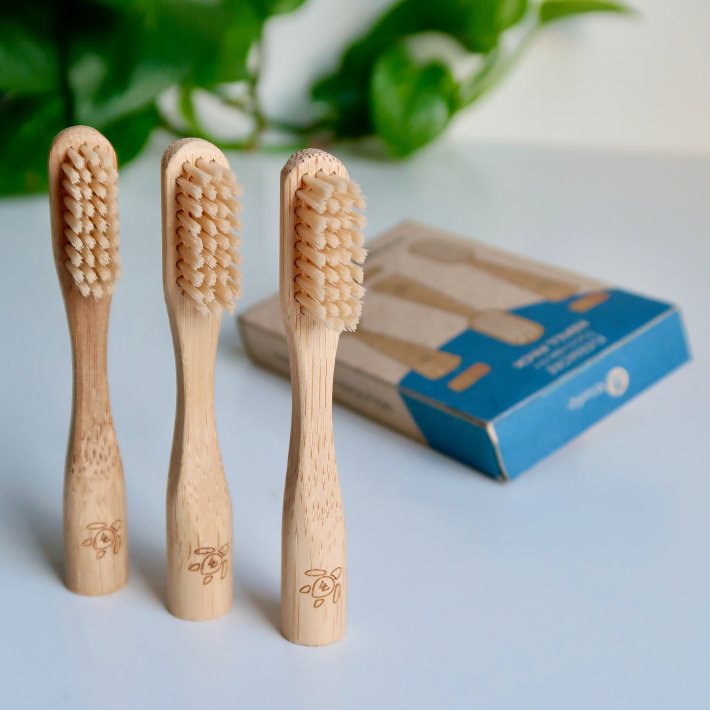 3-Pack Refill: Evermore Toothbrush