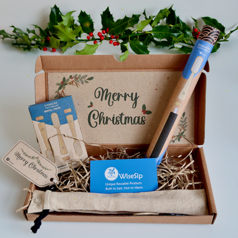 Toothbrush Christmas Bundle